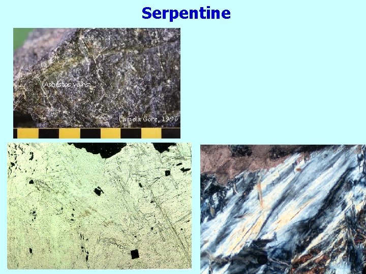 Serpentine 
