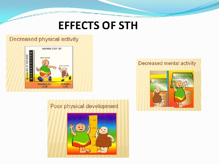 EFFECTS OF STH 