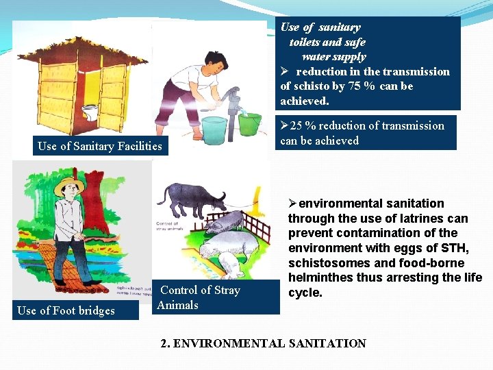 Use of sanitary toilets and safe water supply Ø reduction in the transmission of