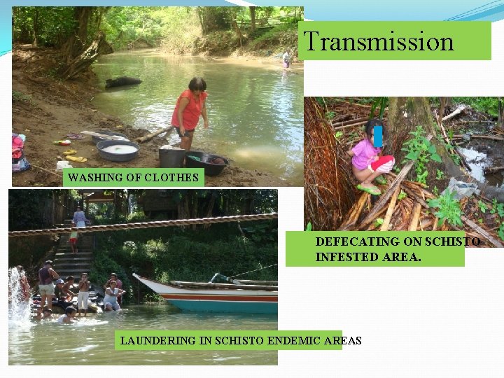 Transmission WASHING OF CLOTHES DEFECATING ON SCHISTO INFESTED AREA. LAUNDERING IN SCHISTO ENDEMIC AREAS