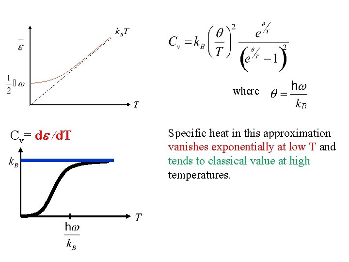 where B Cv= d /d. T Specific heat in this approximation vanishes exponentially at