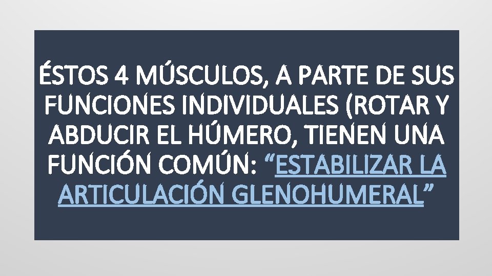 ÉSTOS 4 MÚSCULOS, A PARTE DE SUS FUNCIONES INDIVIDUALES (ROTAR Y ABDUCIR EL HÚMERO,