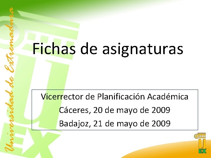 Fichas de asignaturas Vicerrector de Planificación Académica Cáceres, 20 de mayo de 2009 Badajoz,