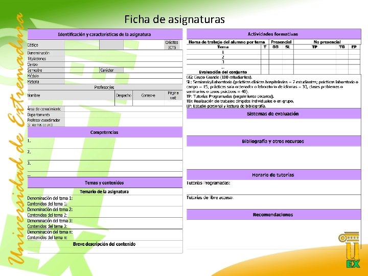 Ficha de asignaturas 