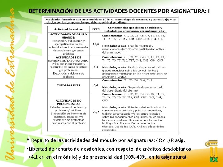 DETERMINACIÓN DE LAS ACTIVIDADES DOCENTES POR ASIGNATURA: I • Reparto de las actividades del