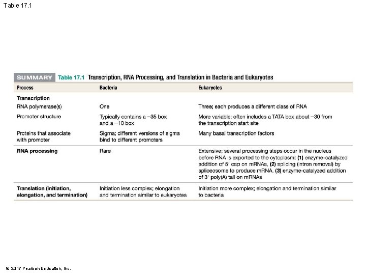 Table 17. 1 © 2017 Pearson Education, Inc. 