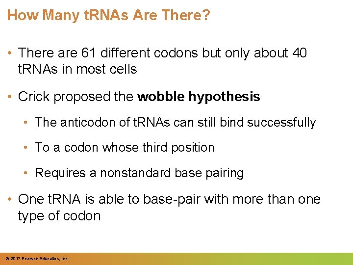 How Many t. RNAs Are There? • There are 61 different codons but only