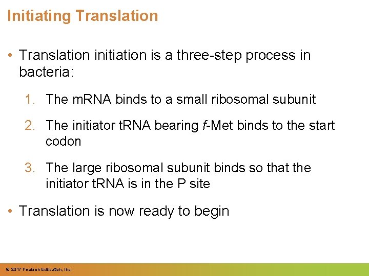 Initiating Translation • Translation initiation is a three-step process in bacteria: 1. The m.