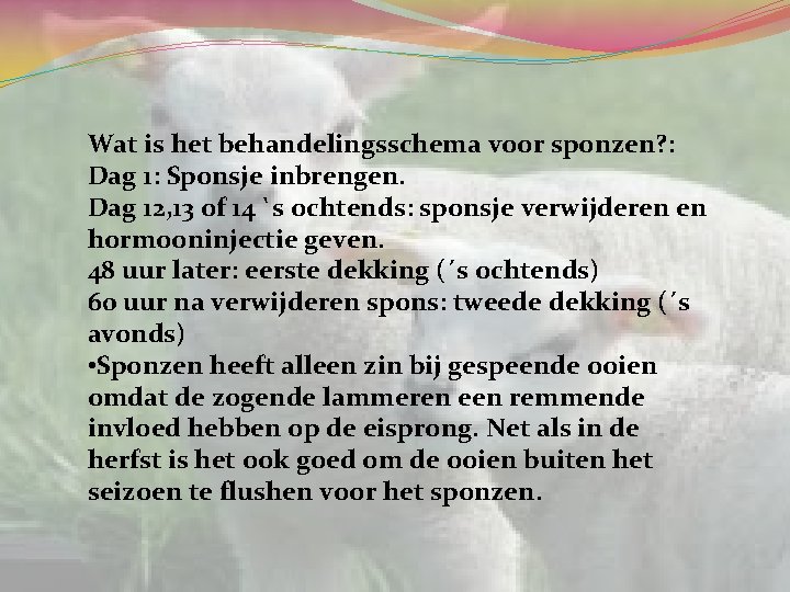 Wat is het behandelingsschema voor sponzen? : Dag 1: Sponsje inbrengen. Dag 12, 13