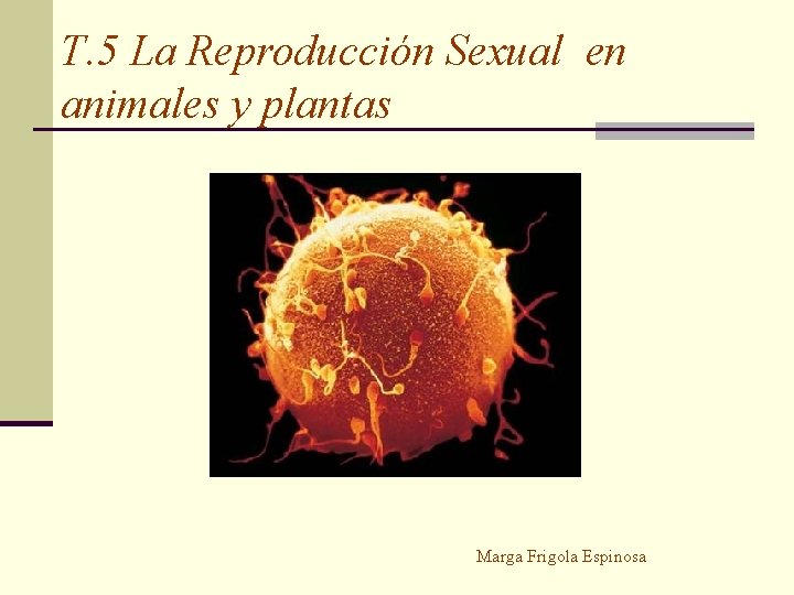 T. 5 La Reproducción Sexual en animales y plantas Marga Frigola Espinosa 