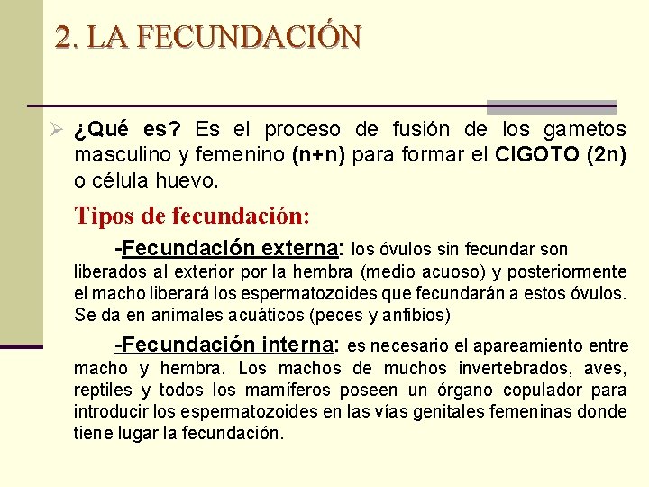 2. LA FECUNDACIÓN Ø ¿Qué es? Es el proceso de fusión de los gametos