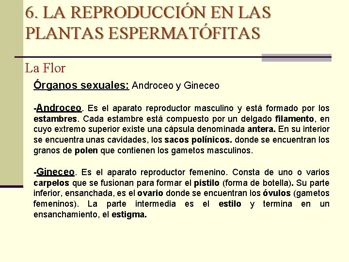 6. LA REPRODUCCIÓN EN LAS PLANTAS ESPERMATÓFITAS La Flor Órganos sexuales: Androceo y Gineceo