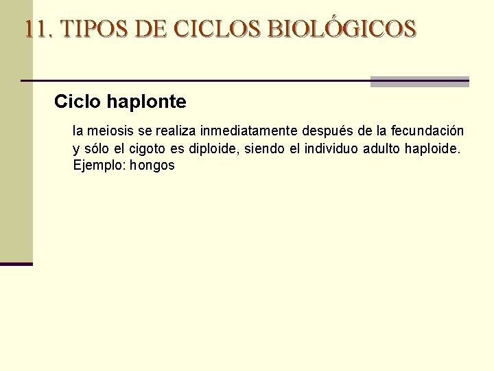 11. TIPOS DE CICLOS BIOLÓGICOS Ciclo haplonte la meiosis se realiza inmediatamente después de