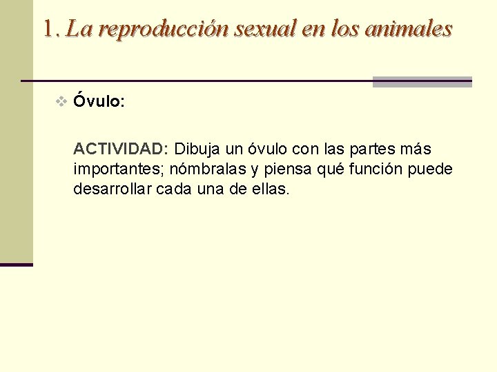 1. La reproducción sexual en los animales v Óvulo: ACTIVIDAD: Dibuja un óvulo con