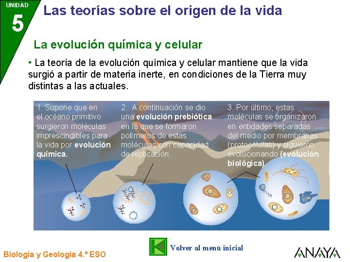 UNIDAD 5 3 Las teorías sobre el origen de la vida La evolución química