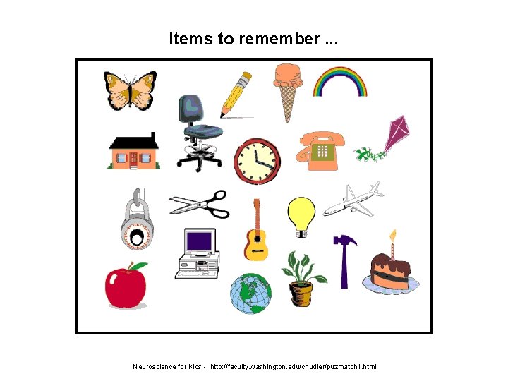 Items to remember. . . Neuroscience for Kids - http: //faculty. washington. edu/chudler/puzmatch 1.