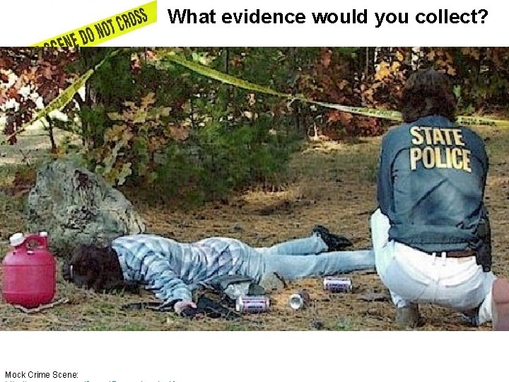 What evidence would you collect? Mock Crime Scene: 