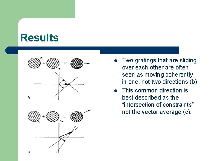 Results l l Two gratings that are sliding over each other are often seen