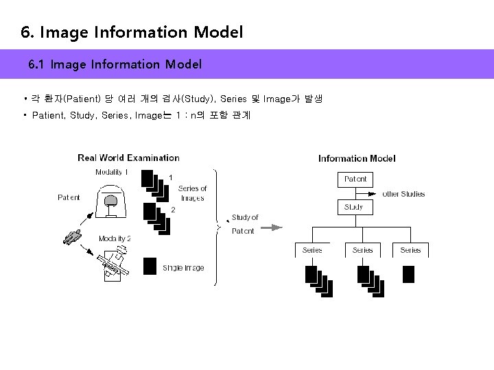 6. Image Information Model 6. 1 Image Information Model • 각 환자(Patient) 당 여러