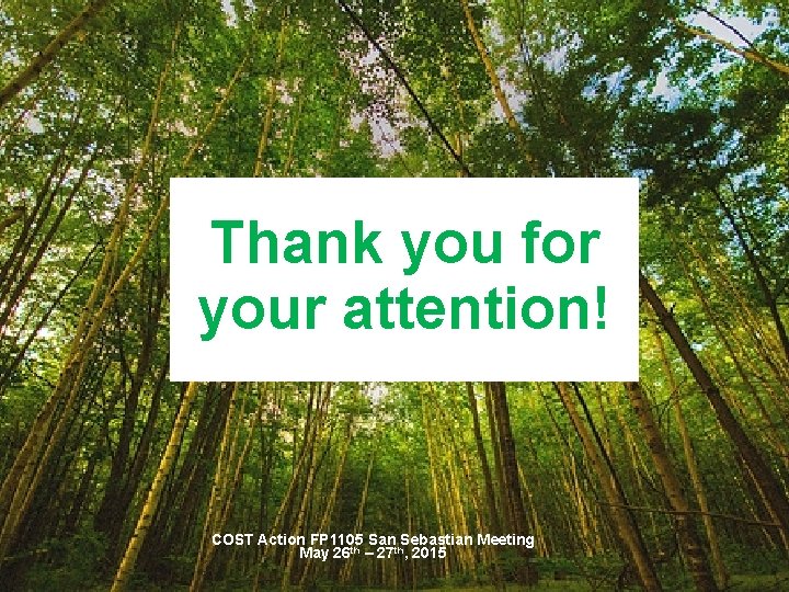 Thank you for your attention! COST Action FP 1105 San Sebastian Meeting May 26