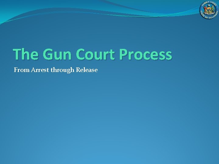 The Gun Court Process From Arrest through Release 