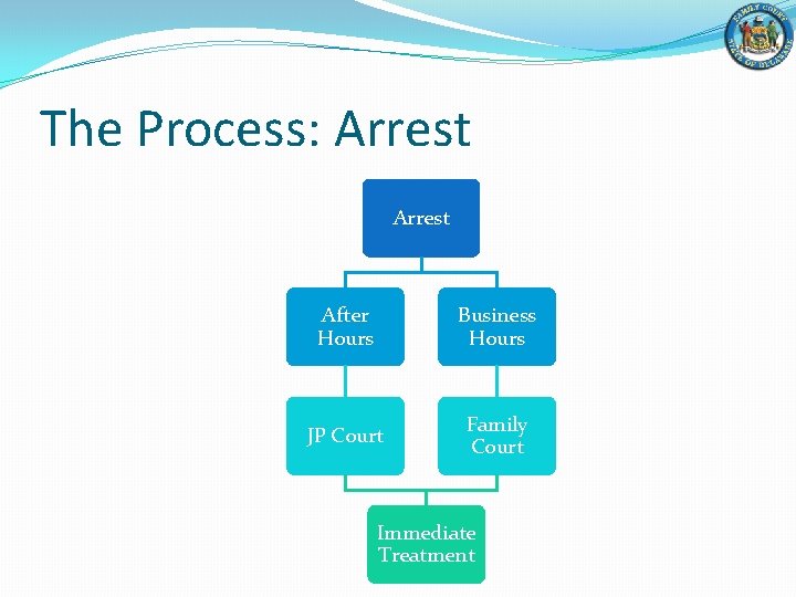 The Process: Arrest After Hours Business Hours JP Court Family Court Immediate Treatment 