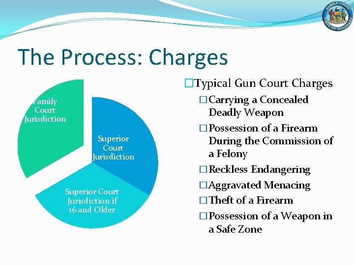 The Process: Charges �Typical Gun Court Charges �Carrying a Concealed Family Court Jurisdiction Superior