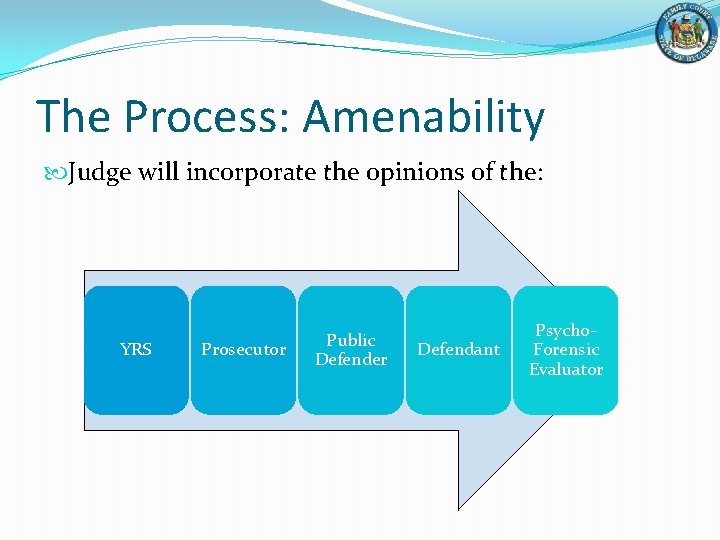 The Process: Amenability Judge will incorporate the opinions of the: YRS Prosecutor Public Defender