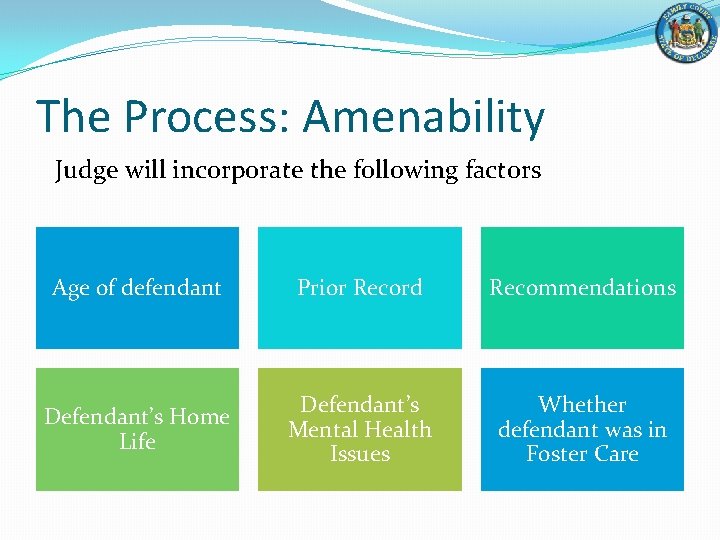 The Process: Amenability Judge will incorporate the following factors Age of defendant Prior Record