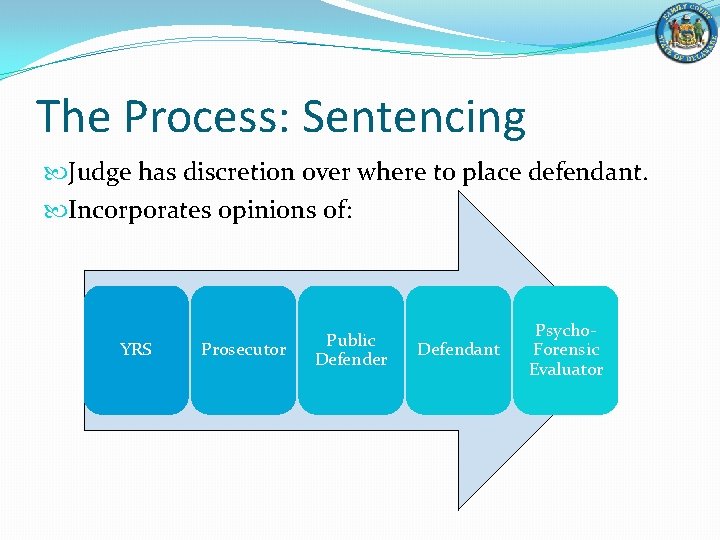 The Process: Sentencing Judge has discretion over where to place defendant. Incorporates opinions of: