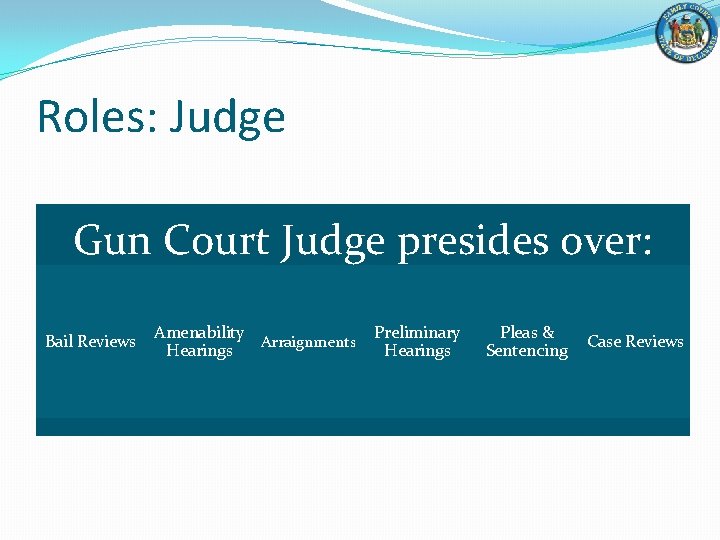 Roles: Judge Gun Court Judge presides over: Bail Reviews Amenability Arraignments Hearings Preliminary Hearings