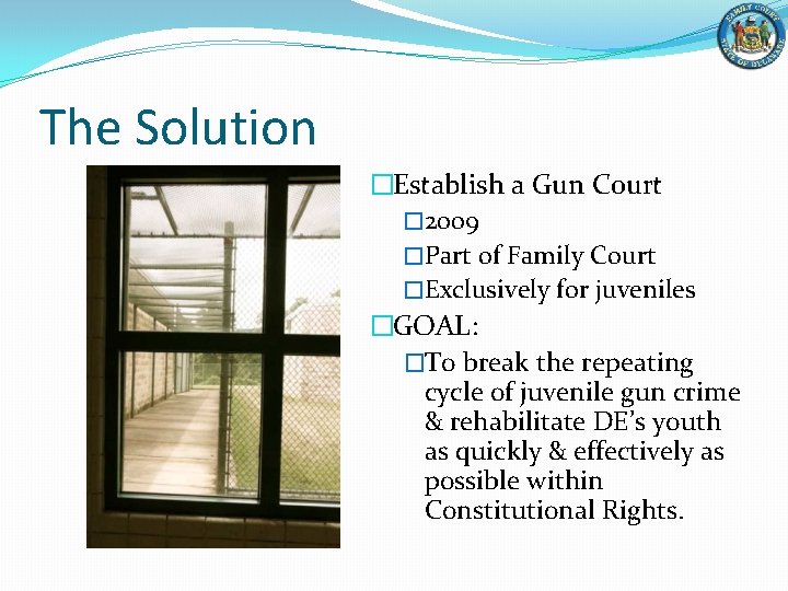 The Solution �Establish a Gun Court � 2009 �Part of Family Court �Exclusively for