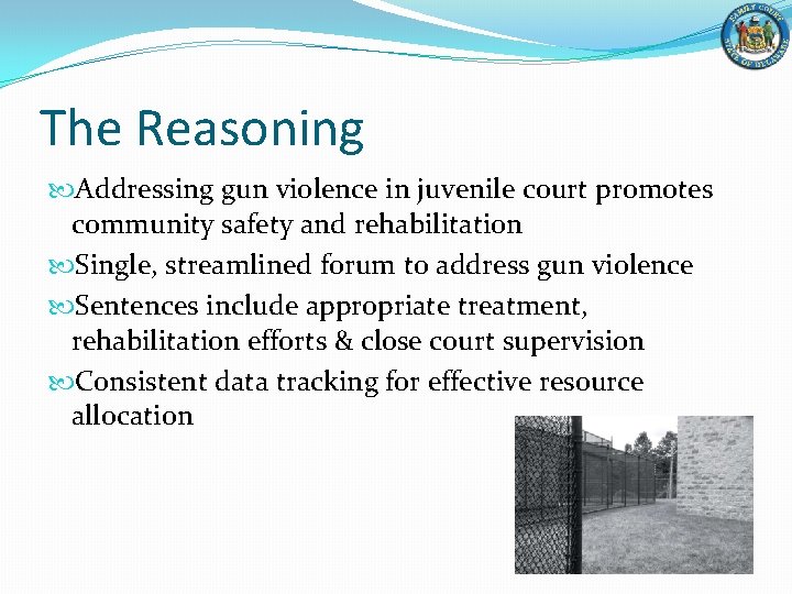 The Reasoning Addressing gun violence in juvenile court promotes community safety and rehabilitation Single,