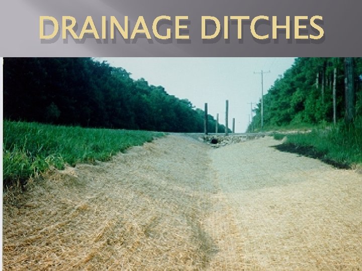 DRAINAGE DITCHES 