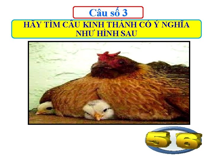 Câu số 3 HÃY TÌM C U KINH THÁNH CÓ Ý NGHĨA NHƯ HÌNH