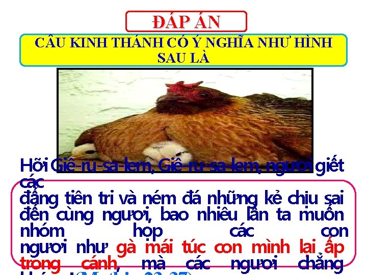 ĐÁP ÁN C U KINH THÁNH CÓ Ý NGHĨA NHƯ HÌNH SAU LÀ Hỡi