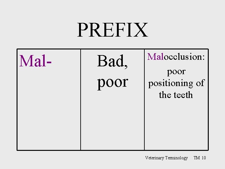 PREFIX Mal- Bad, poor Malocclusion: poor positioning of the teeth Veterinary Terminology TM 10