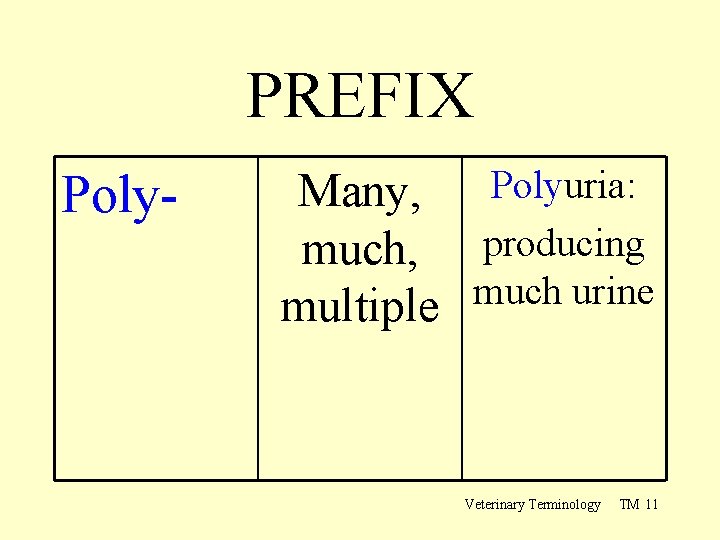 PREFIX Poly- Many, Polyuria: much, producing much urine multiple Veterinary Terminology TM 11 