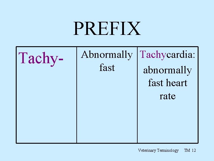 PREFIX Tachy- Abnormally Tachycardia: fast abnormally fast heart rate Veterinary Terminology TM 12 