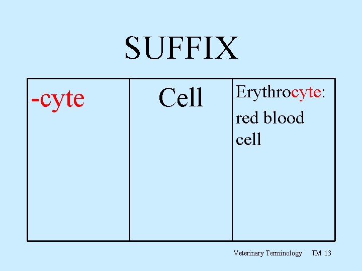 SUFFIX -cyte Cell Erythrocyte: red blood cell Veterinary Terminology TM 13 