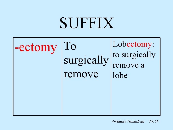 SUFFIX -ectomy To surgically remove Lobectomy: to surgically remove a lobe Veterinary Terminology TM