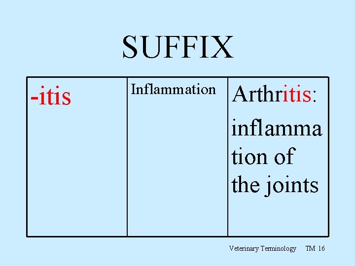 SUFFIX -itis Inflammation Arthritis: inflamma tion of the joints Veterinary Terminology TM 16 