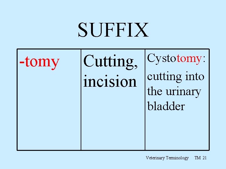 SUFFIX -tomy Cutting, incision Cystotomy: cutting into the urinary bladder Veterinary Terminology TM 21