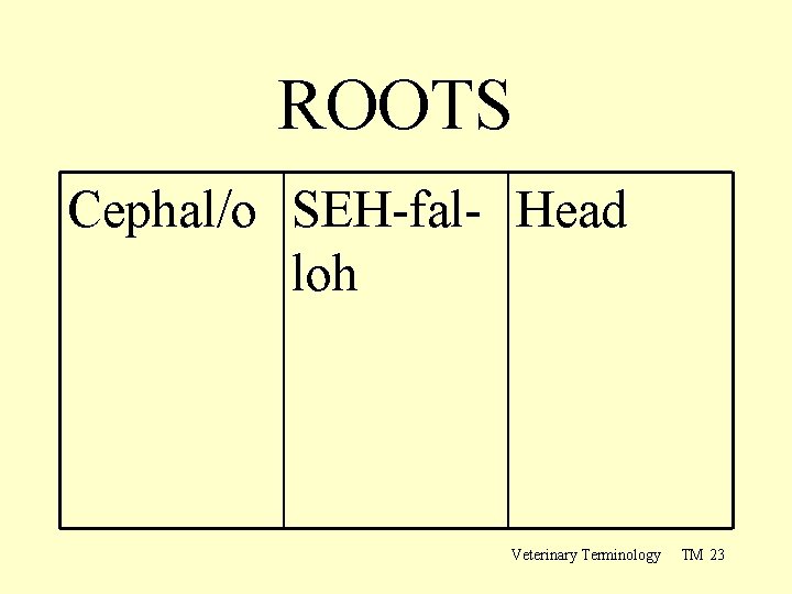 ROOTS Cephal/o SEH-fal- Head loh Veterinary Terminology TM 23 