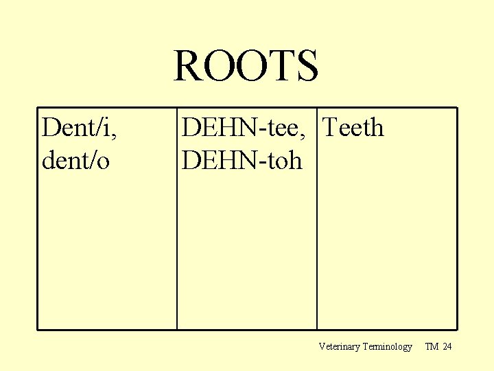 ROOTS Dent/i, dent/o DEHN-tee, Teeth DEHN-toh Veterinary Terminology TM 24 