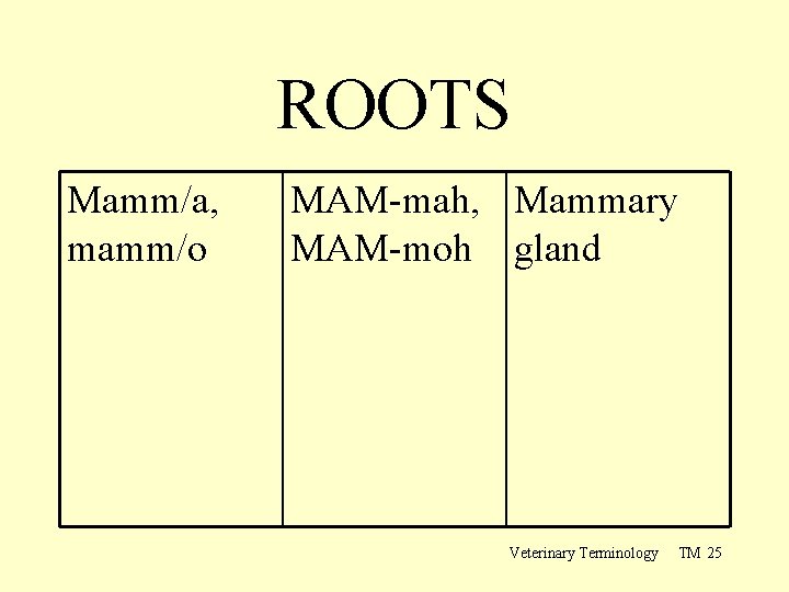 ROOTS Mamm/a, mamm/o MAM-mah, Mammary MAM-moh gland Veterinary Terminology TM 25 