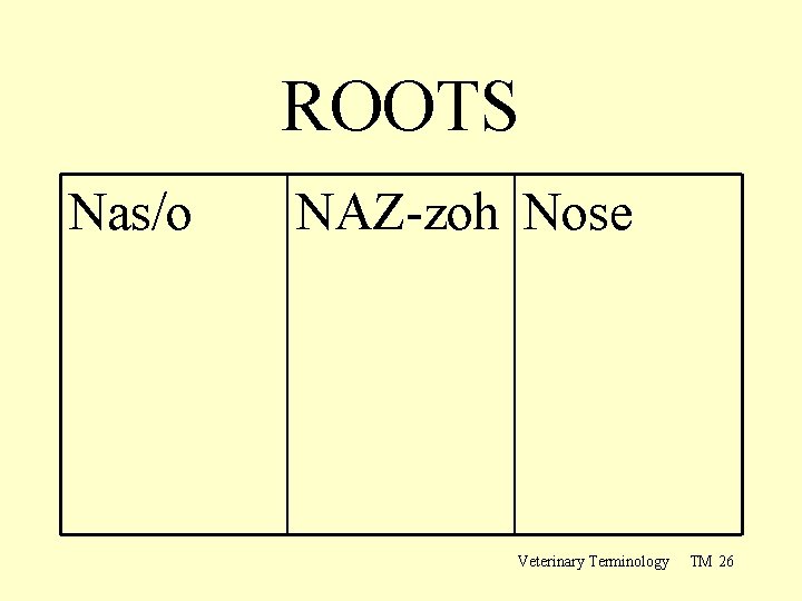 ROOTS Nas/o NAZ-zoh Nose Veterinary Terminology TM 26 
