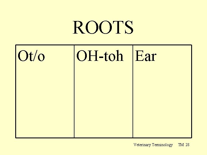 ROOTS Ot/o OH-toh Ear Veterinary Terminology TM 28 