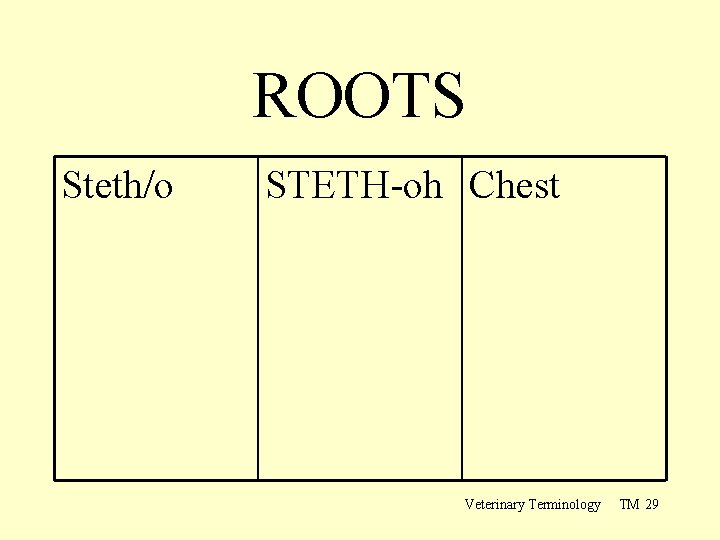 ROOTS Steth/o STETH-oh Chest Veterinary Terminology TM 29 