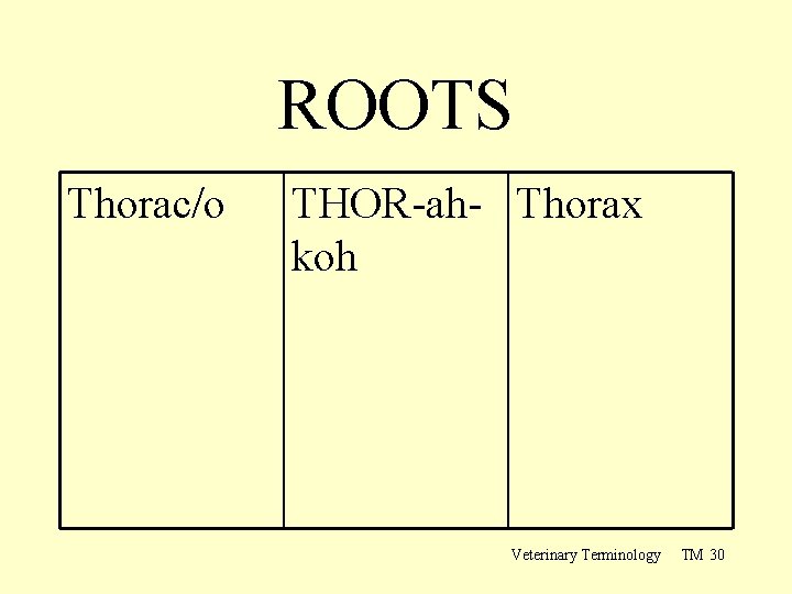 ROOTS Thorac/o THOR-ah- Thorax koh Veterinary Terminology TM 30 